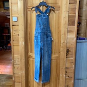 Gap Kids Girls Distressed Denim Overalls